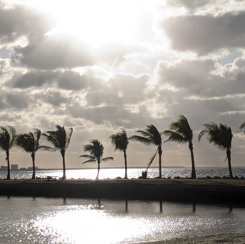 Meet your Posher, Patty